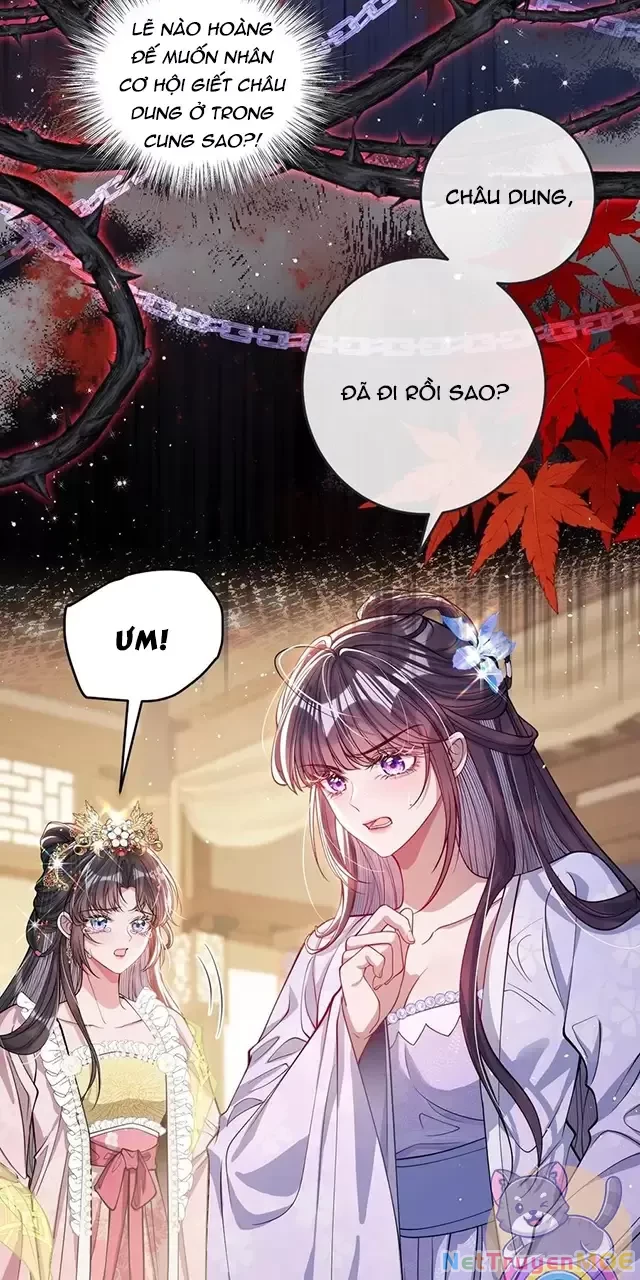 Nuông Chiều Mỹ Nhân Cuồng Nhiệt Chapter 22 - Trang 2