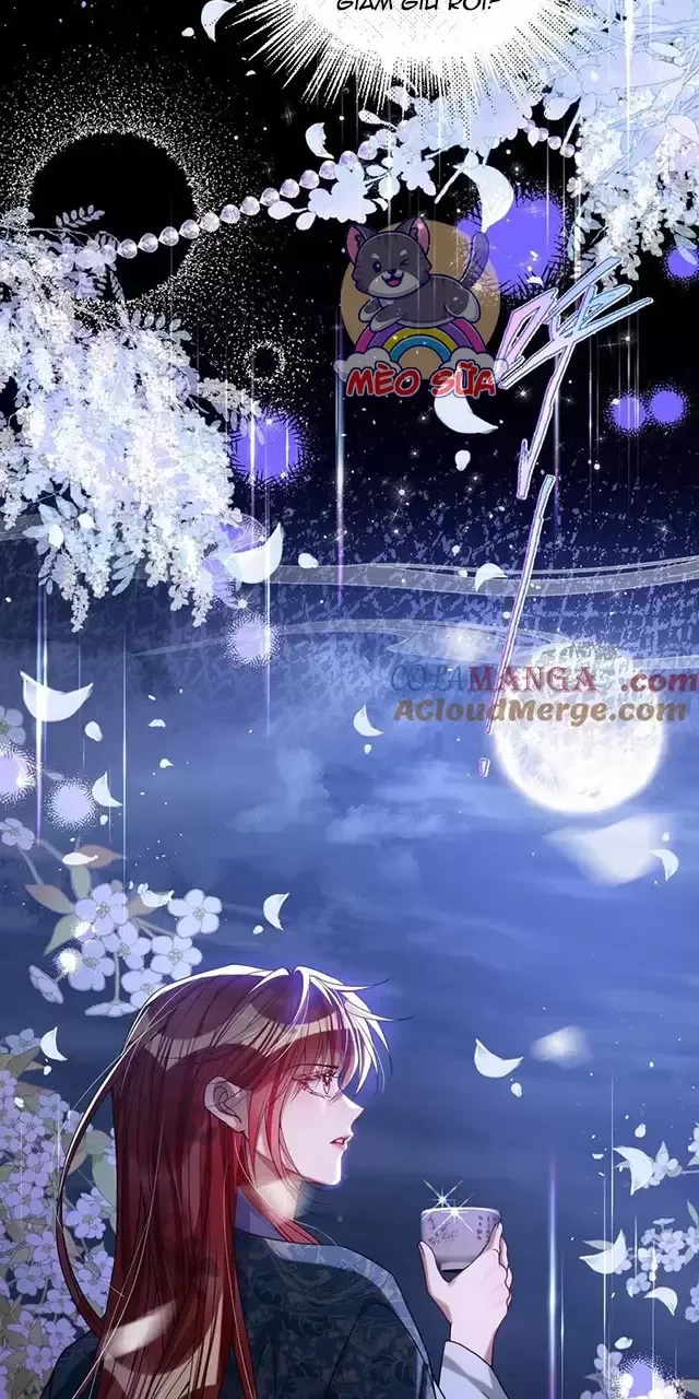 Nuông Chiều Mỹ Nhân Cuồng Nhiệt Chapter 24 - Trang 2