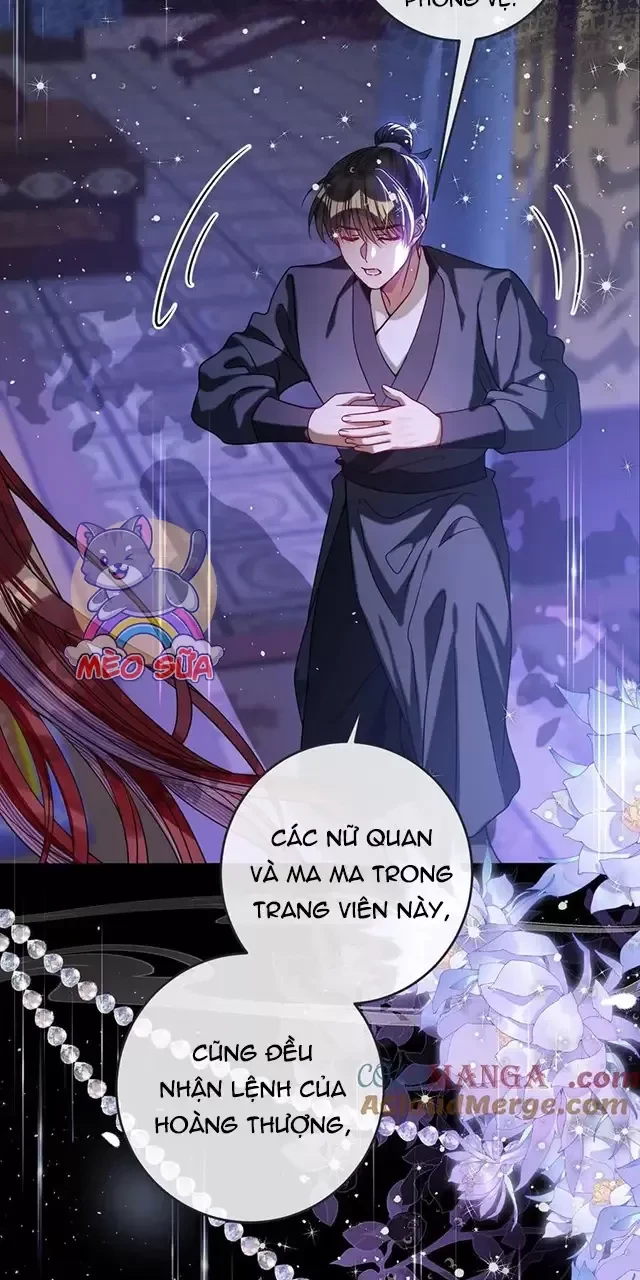 Nuông Chiều Mỹ Nhân Cuồng Nhiệt Chapter 24 - Trang 2
