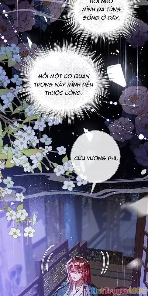 Nuông Chiều Mỹ Nhân Cuồng Nhiệt Chapter 24 - Trang 2