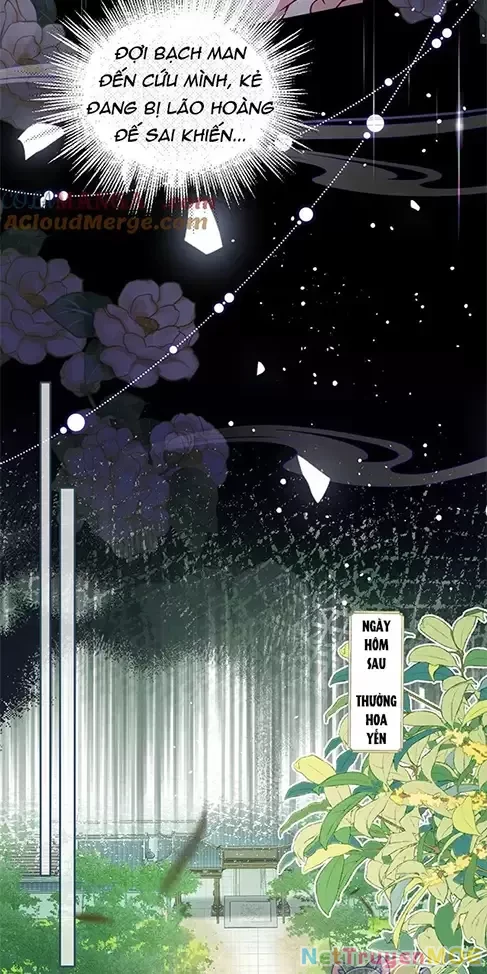 Nuông Chiều Mỹ Nhân Cuồng Nhiệt Chapter 24 - Trang 2