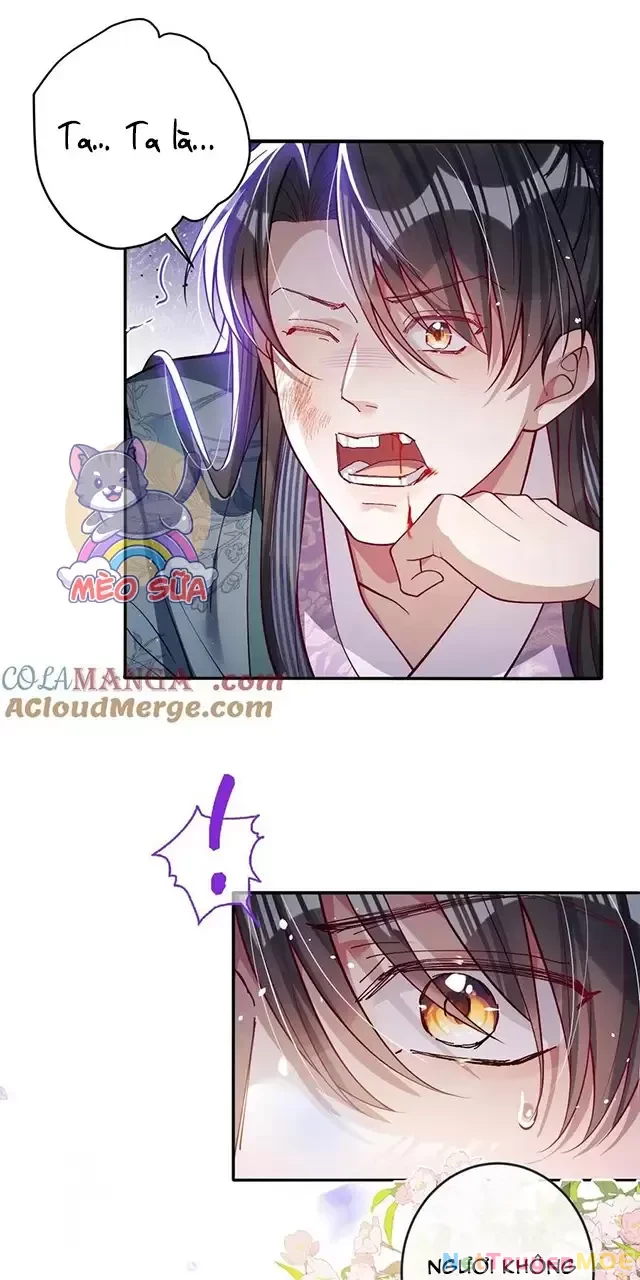 Nuông Chiều Mỹ Nhân Cuồng Nhiệt Chapter 24 - Trang 2