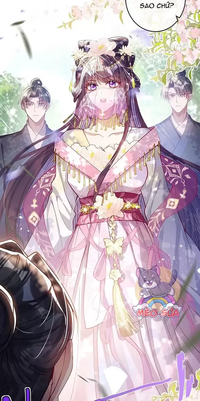 Nuông Chiều Mỹ Nhân Cuồng Nhiệt Chapter 24 - Trang 2