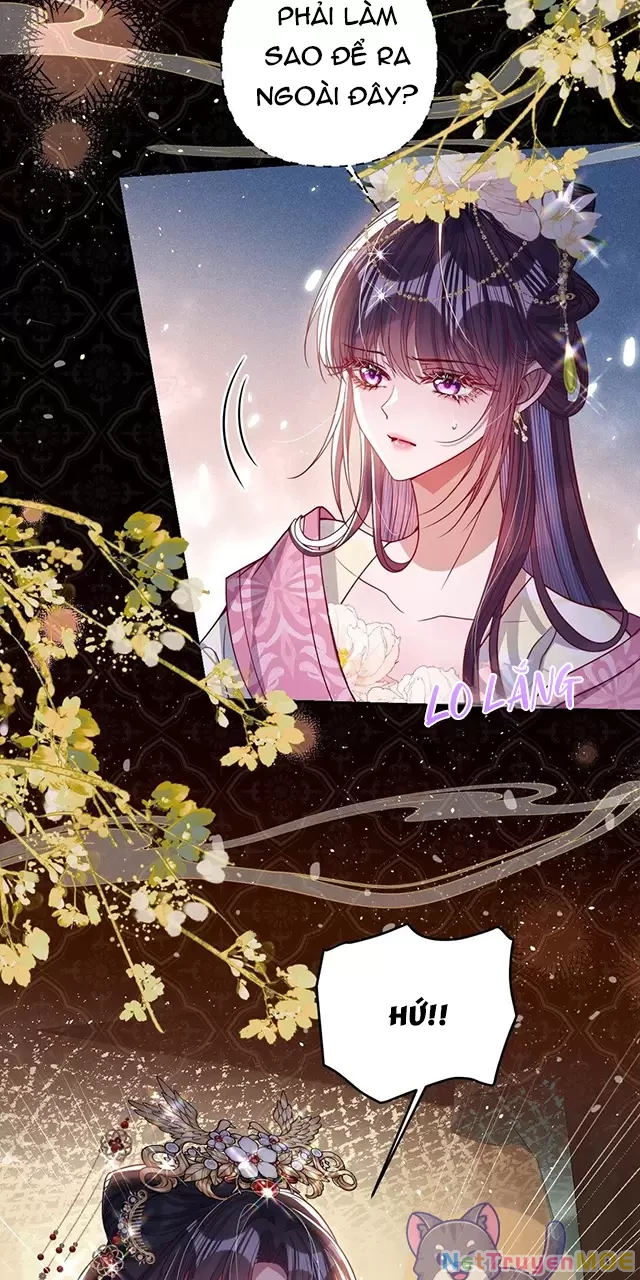 Nuông Chiều Mỹ Nhân Cuồng Nhiệt Chapter 31 - Trang 2