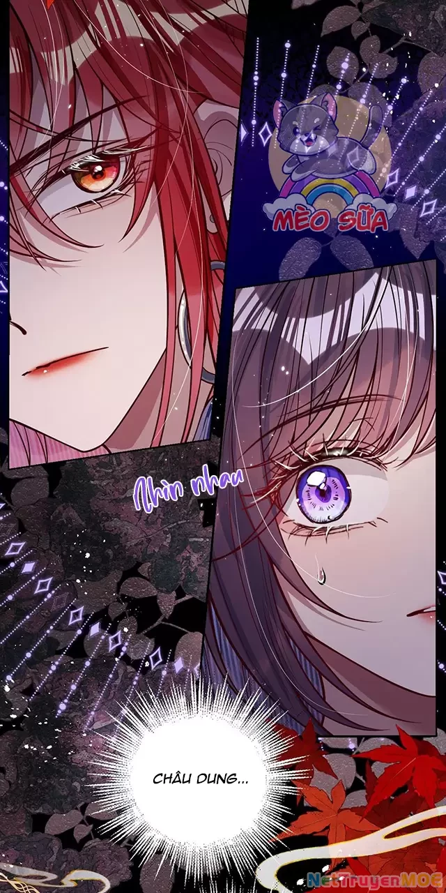 Nuông Chiều Mỹ Nhân Cuồng Nhiệt Chapter 35 - Trang 2