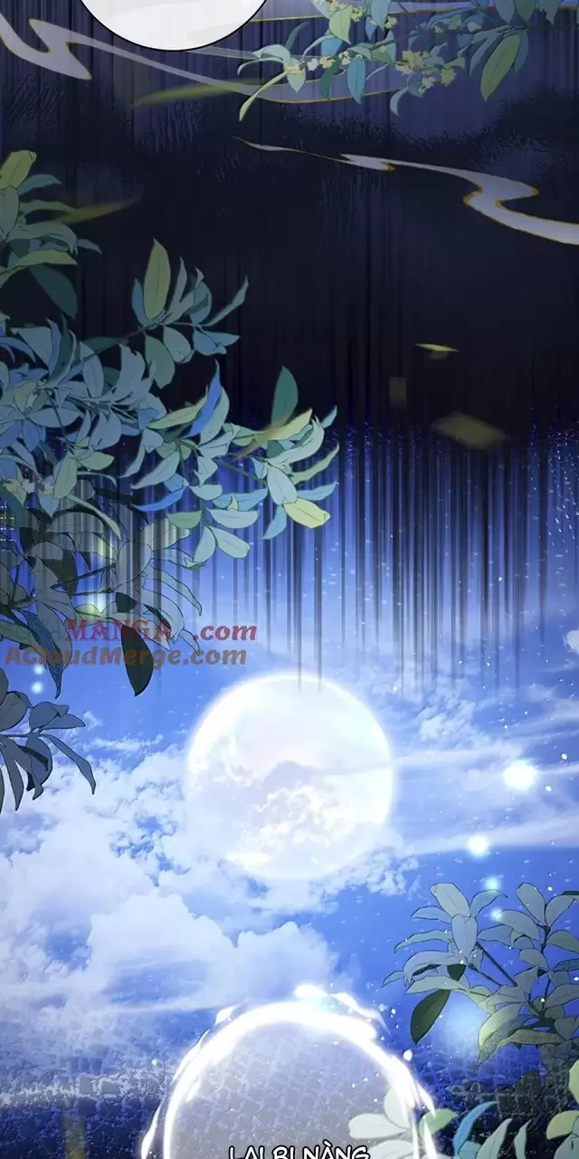Nuông Chiều Mỹ Nhân Cuồng Nhiệt Chapter 47 - Trang 2