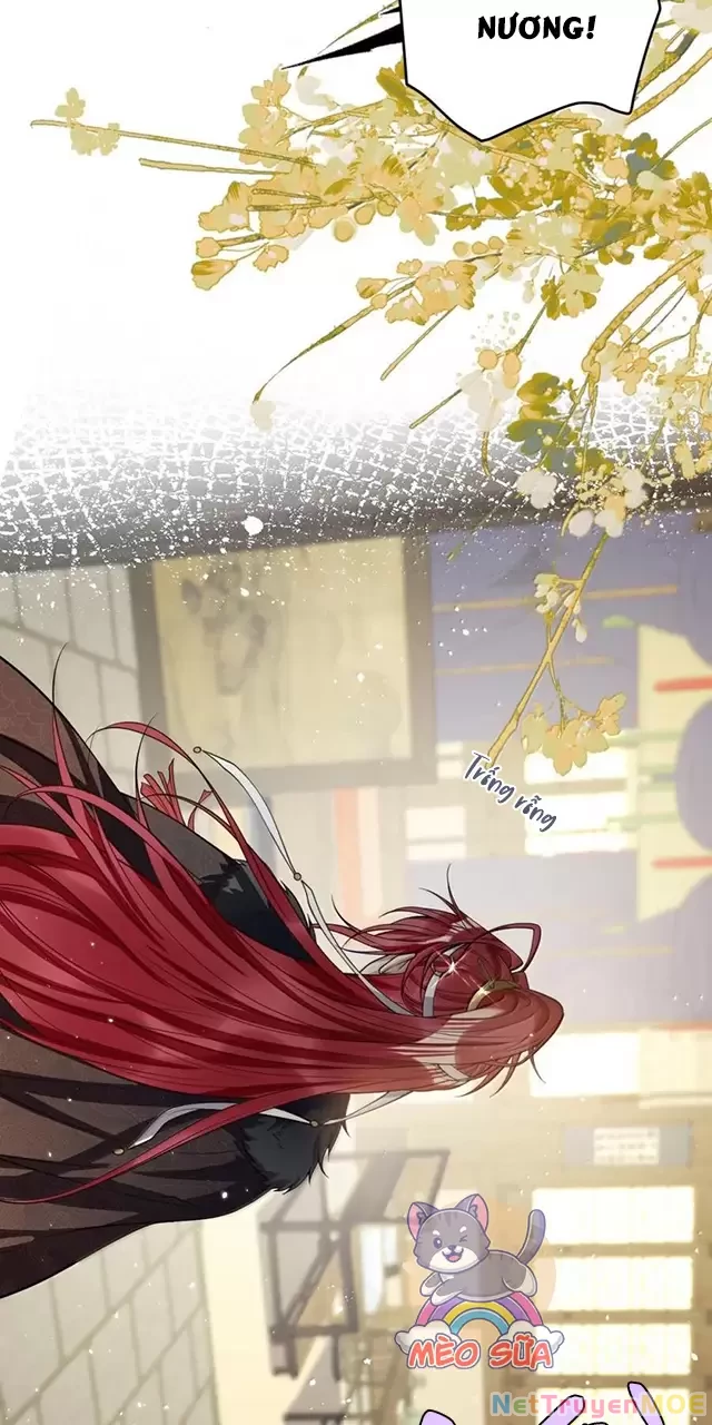 Nuông Chiều Mỹ Nhân Cuồng Nhiệt Chapter 47 - Trang 2