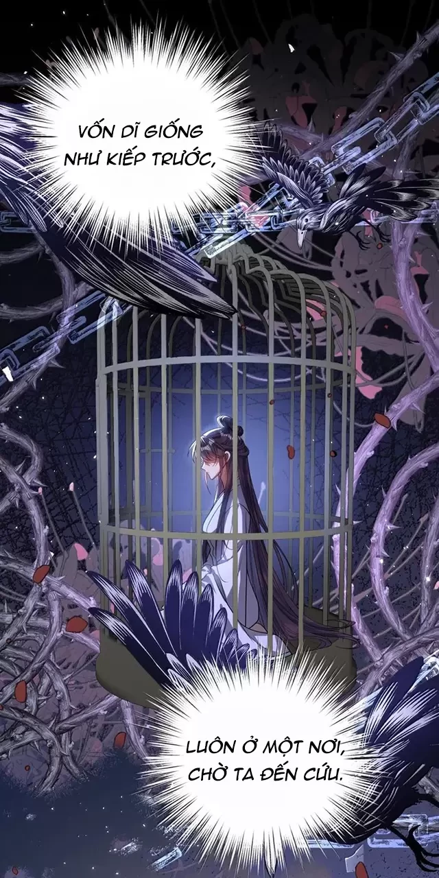 Nuông Chiều Mỹ Nhân Cuồng Nhiệt Chapter 47 - Trang 2