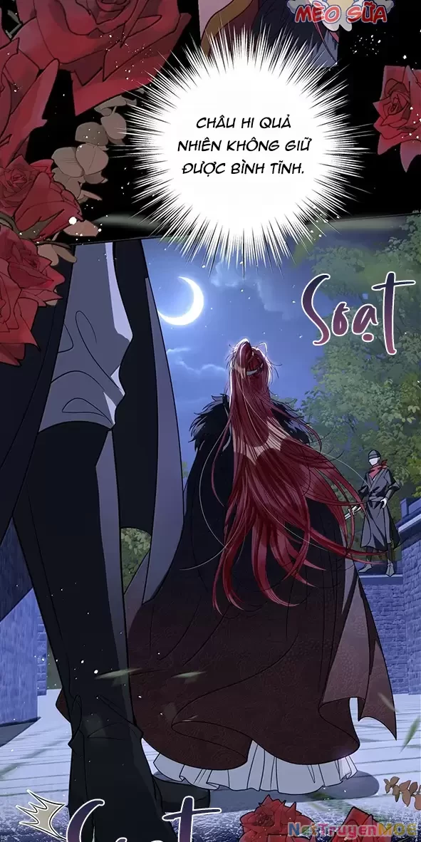 Nuông Chiều Mỹ Nhân Cuồng Nhiệt Chapter 49 - Trang 2