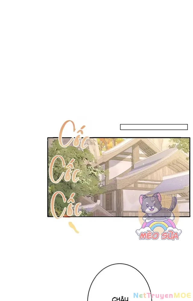 Nuông Chiều Mỹ Nhân Cuồng Nhiệt Chapter 56 - Trang 2