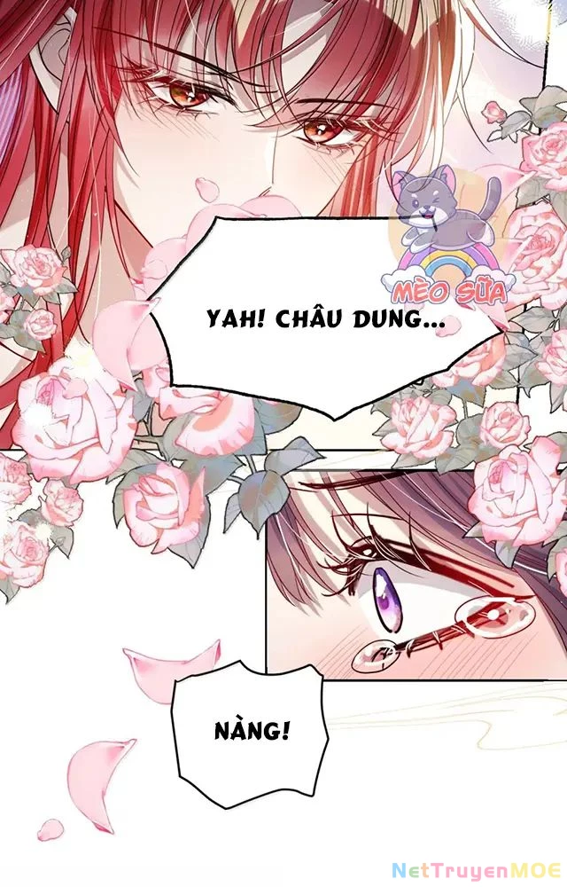 Nuông Chiều Mỹ Nhân Cuồng Nhiệt Chapter 56 - Trang 2