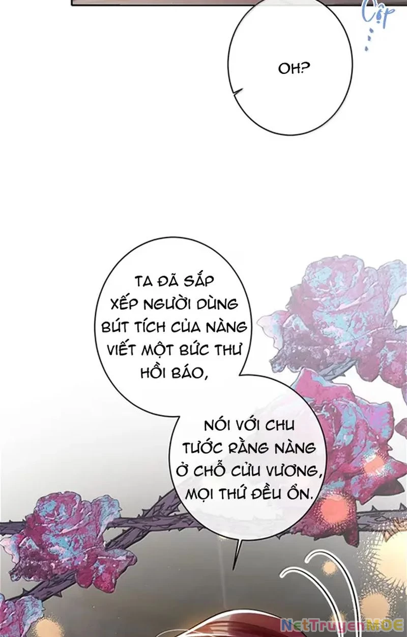 Nuông Chiều Mỹ Nhân Cuồng Nhiệt Chapter 58 - Trang 2