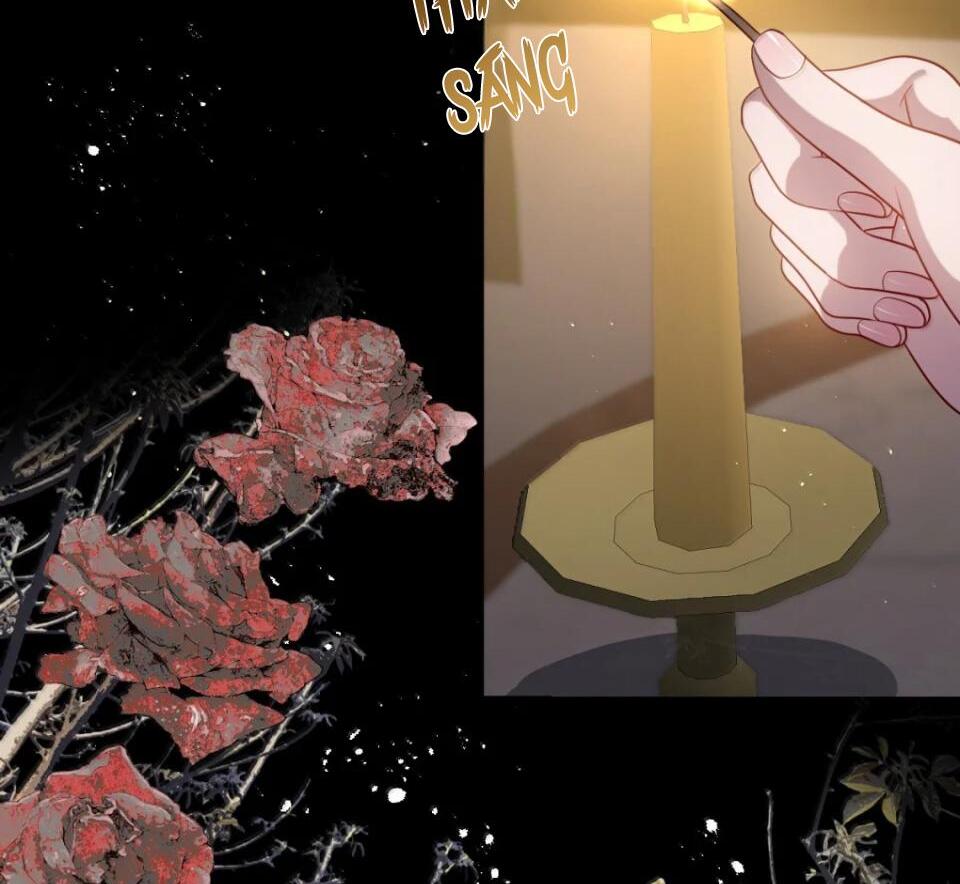 Nuông Chiều Mỹ Nhân Cuồng Nhiệt Chapter 63 - Trang 2