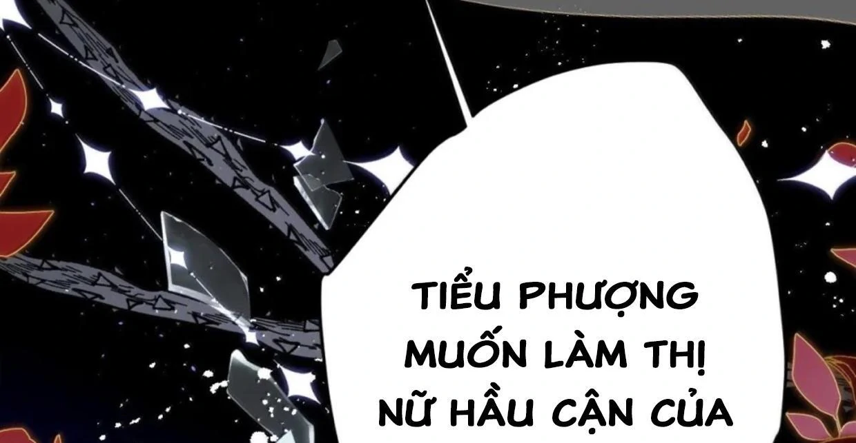 Nuông Chiều Mỹ Nhân Cuồng Nhiệt Chapter 65 - Trang 2