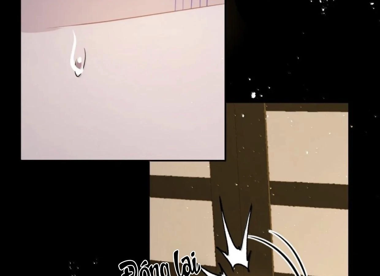 Nuông Chiều Mỹ Nhân Cuồng Nhiệt Chapter 65 - Trang 2