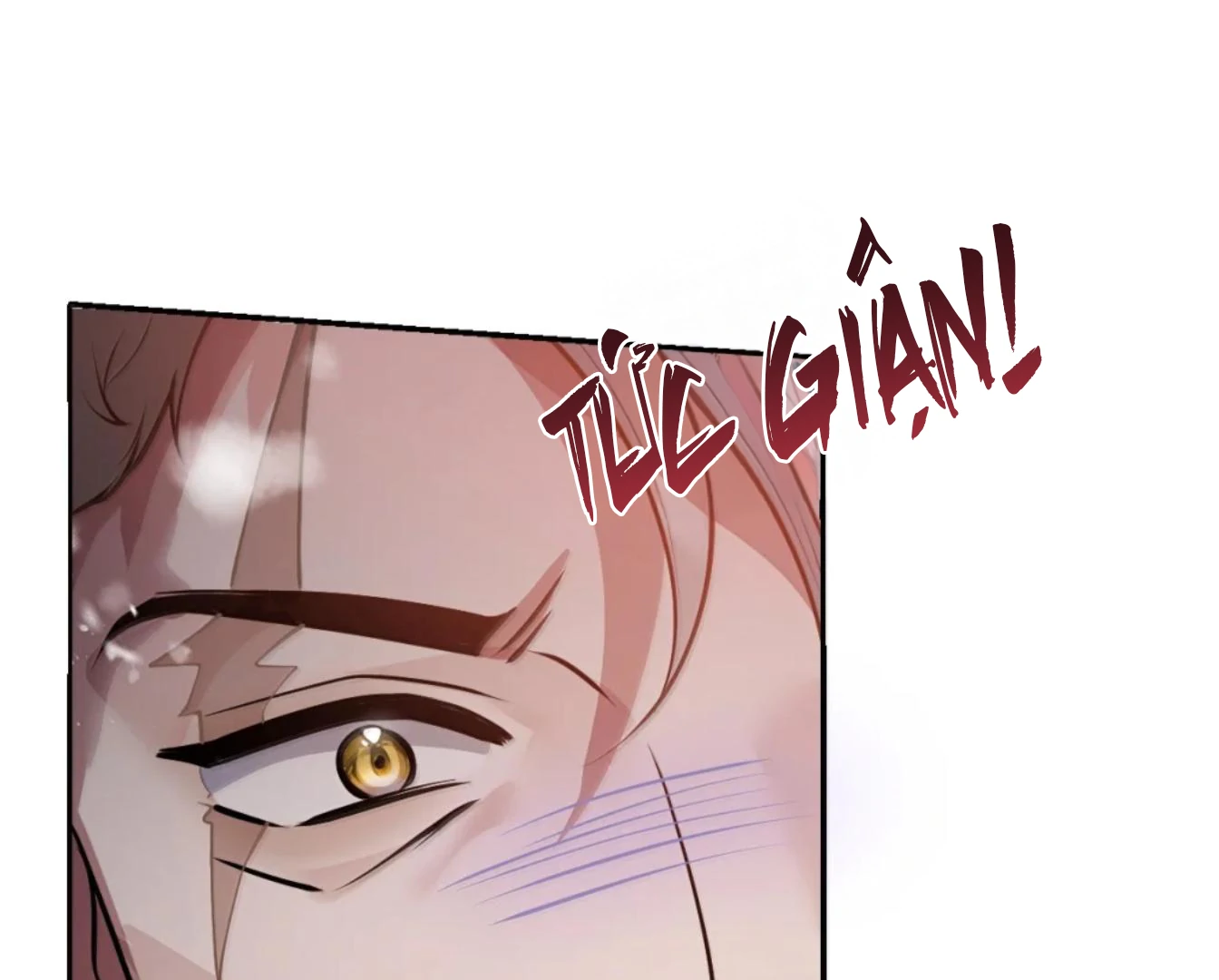 Nuông Chiều Mỹ Nhân Cuồng Nhiệt Chapter 70 - Trang 2