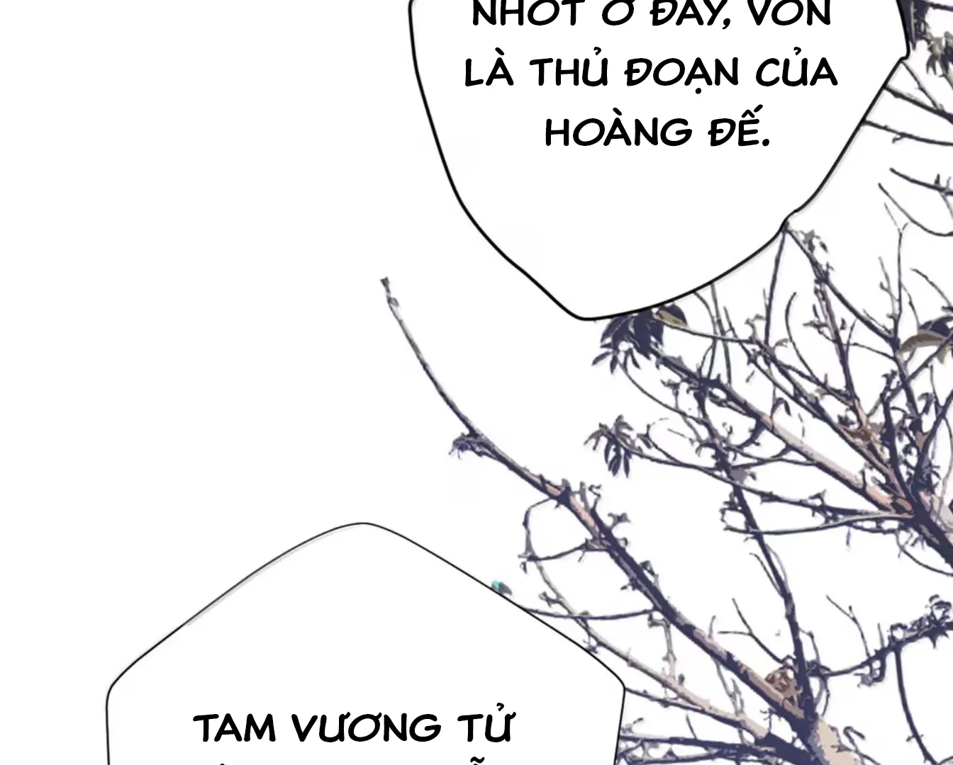 Nuông Chiều Mỹ Nhân Cuồng Nhiệt Chapter 70 - Trang 2