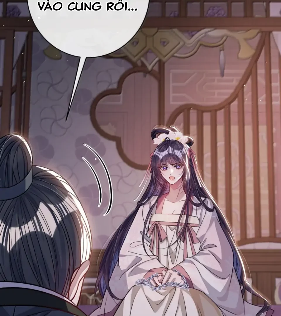 Nuông Chiều Mỹ Nhân Cuồng Nhiệt Chapter 74 - Trang 2