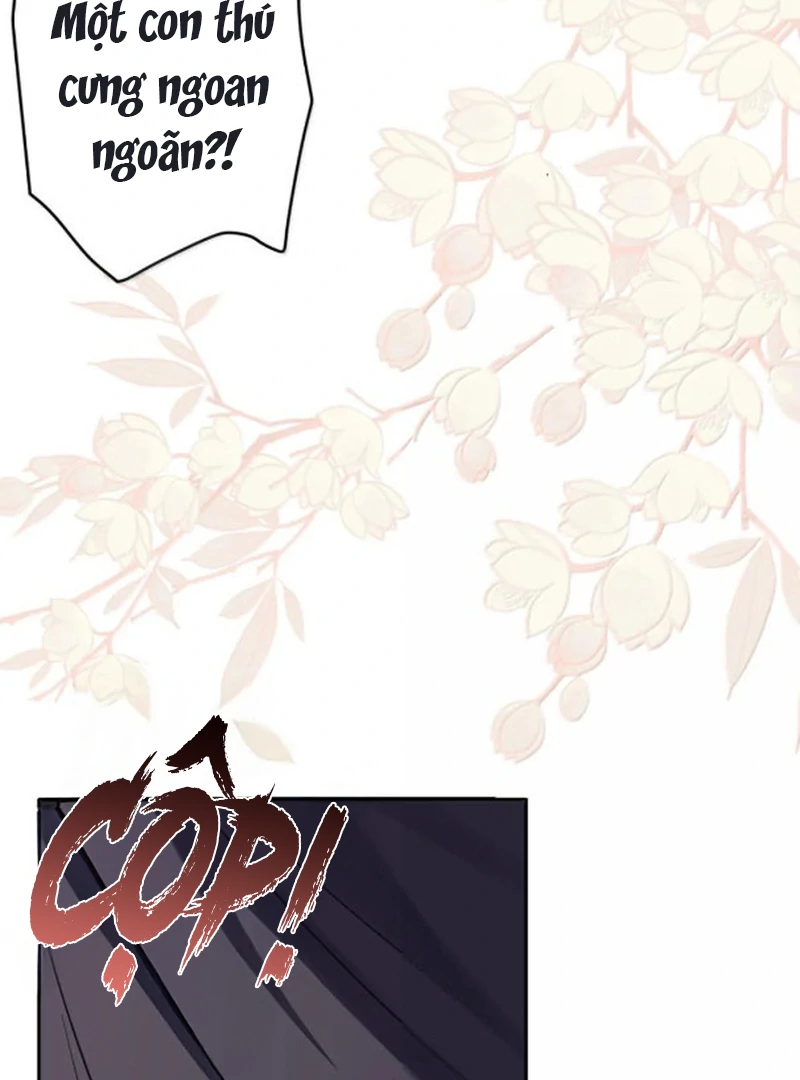 Nuông Chiều Mỹ Nhân Cuồng Nhiệt Chapter 75 - Trang 2