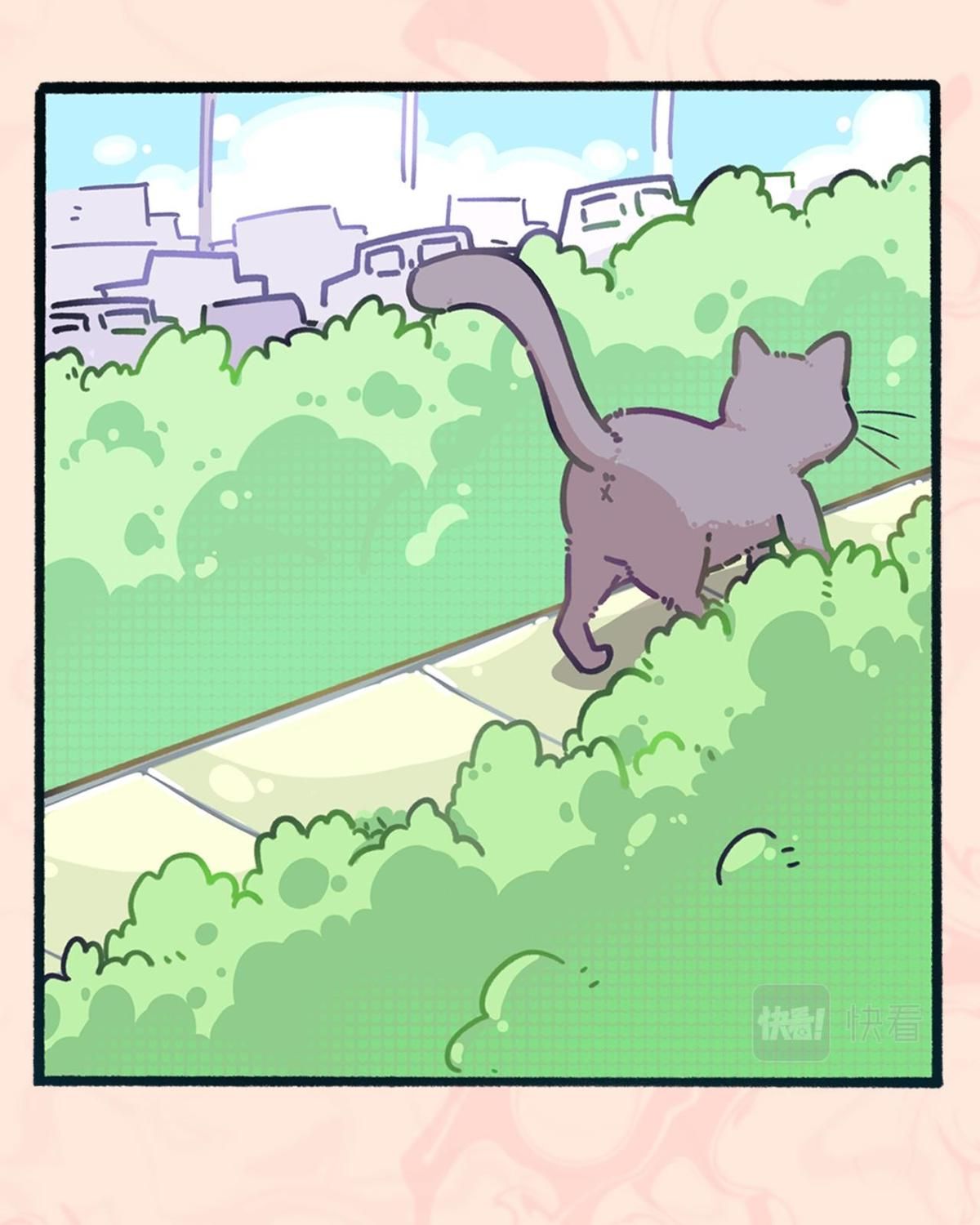 Năm Bạn Mèo Chapter 0 - Trang 2