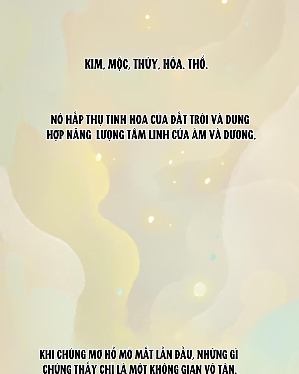 Năm Bạn Mèo Chapter 1 - Trang 2