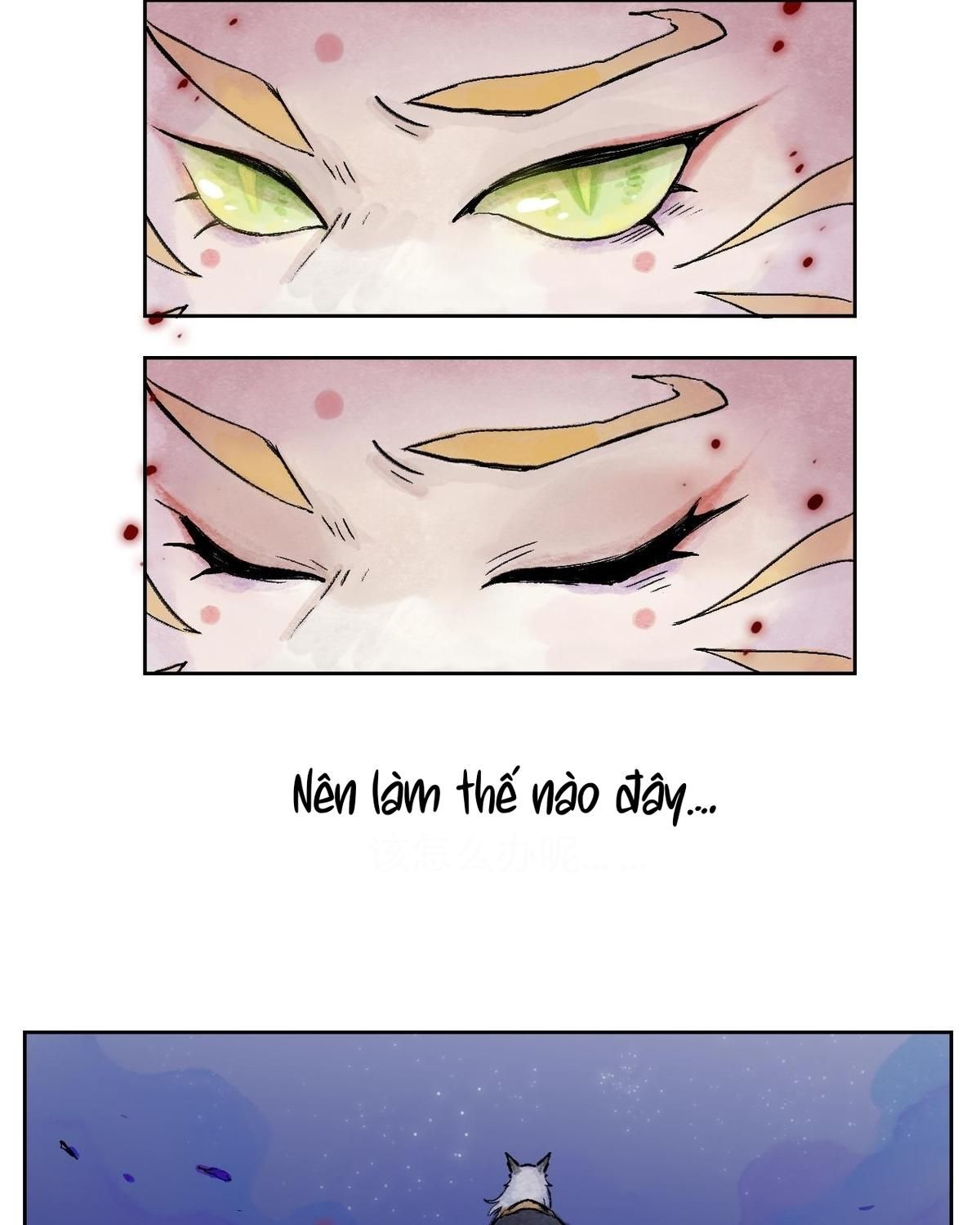 Năm Bạn Mèo Chapter 2 - Trang 2