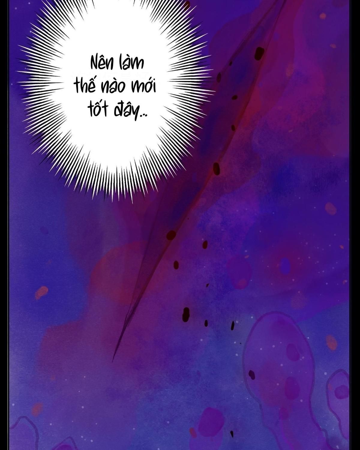 Năm Bạn Mèo Chapter 2 - Trang 2