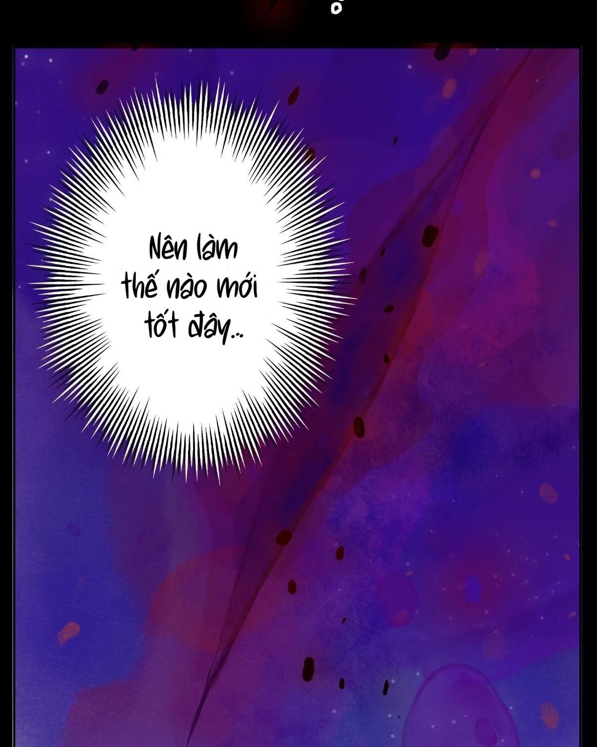 Năm Bạn Mèo Chapter 2 - Trang 2