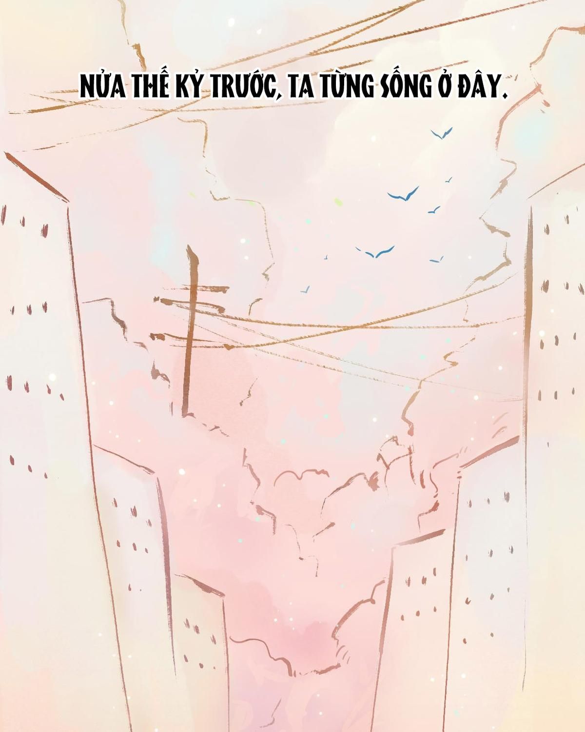 Năm Bạn Mèo Chapter 7 - Trang 2