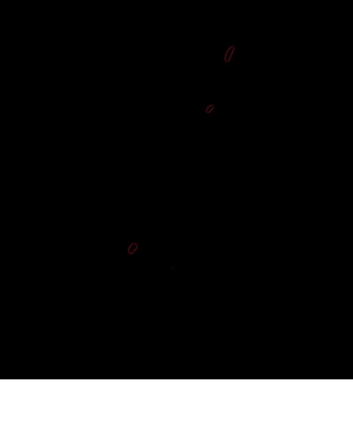 Năm Bạn Mèo Chapter 18 - Trang 2