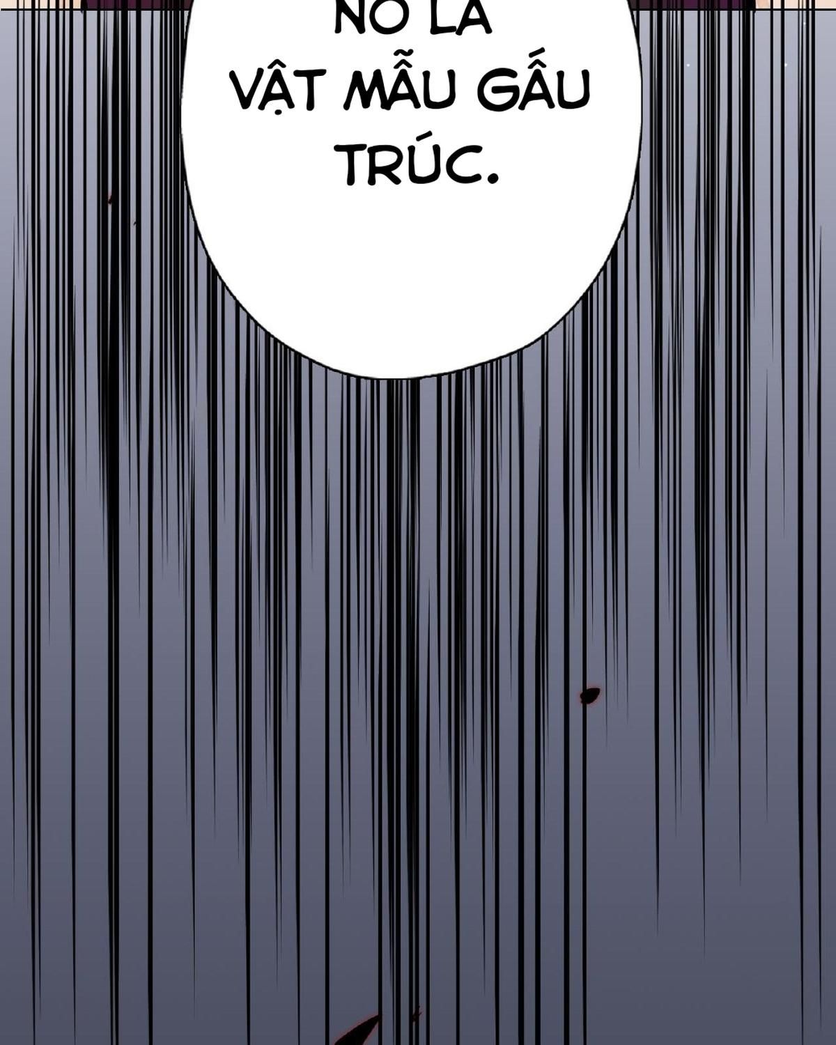 Năm Bạn Mèo Chapter 21 - Trang 2