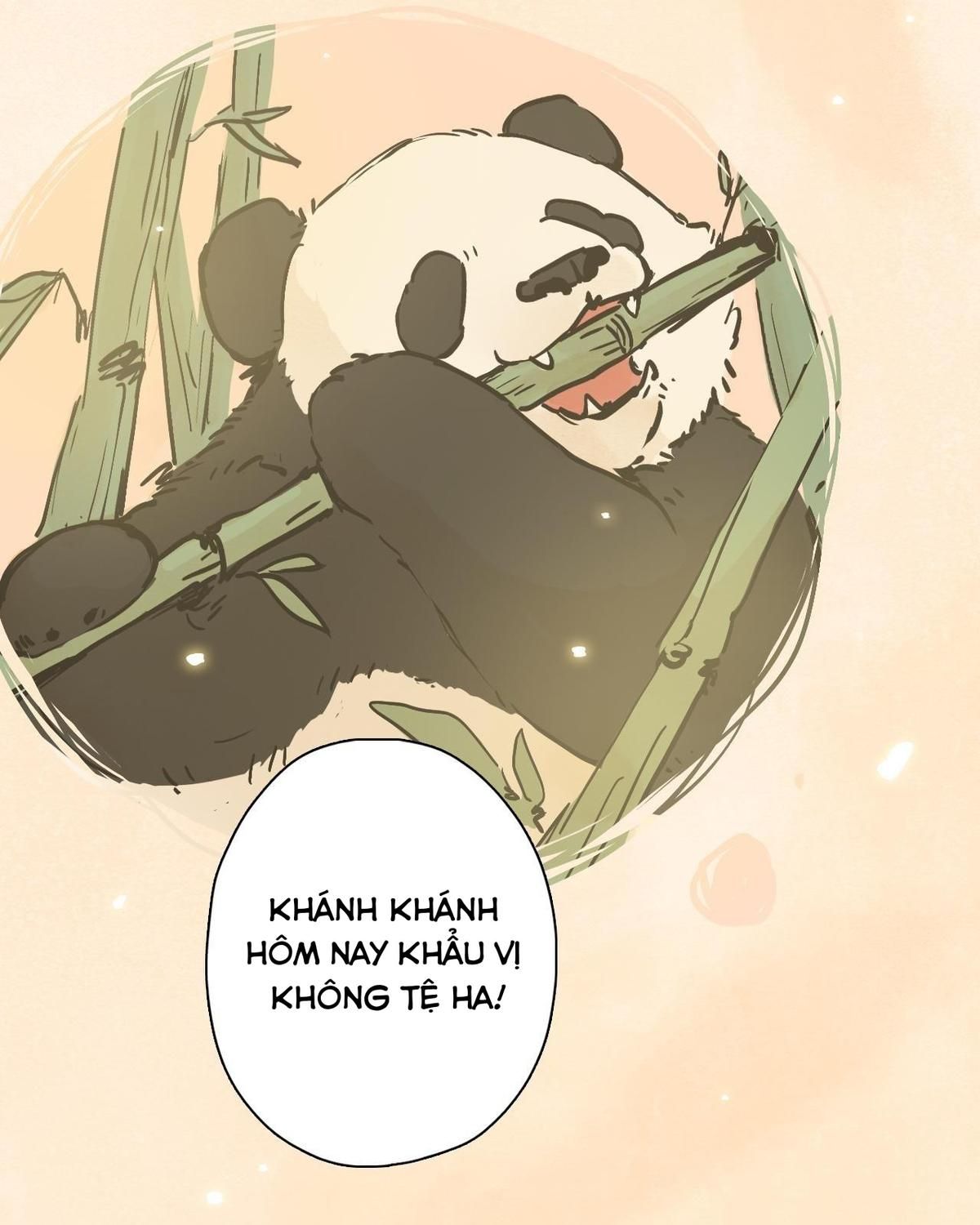 Năm Bạn Mèo Chapter 23 - Trang 2