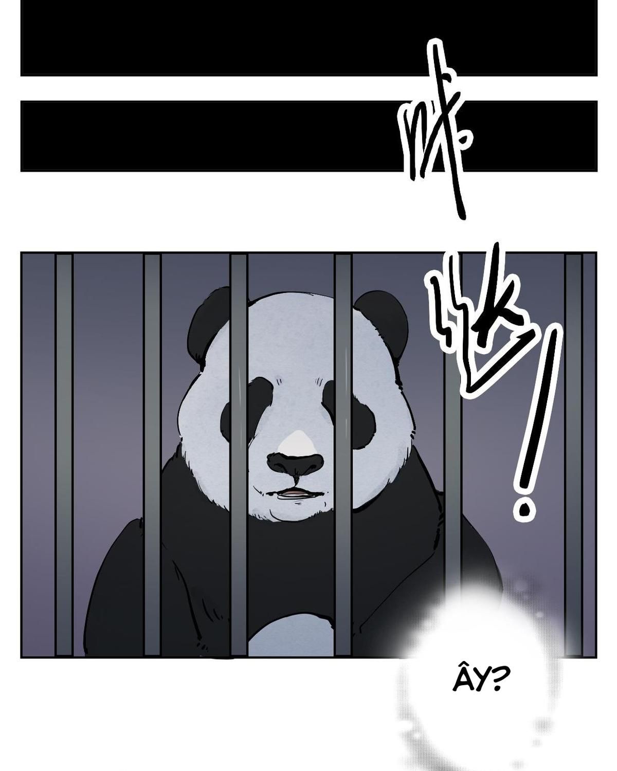 Năm Bạn Mèo Chapter 23 - Trang 2