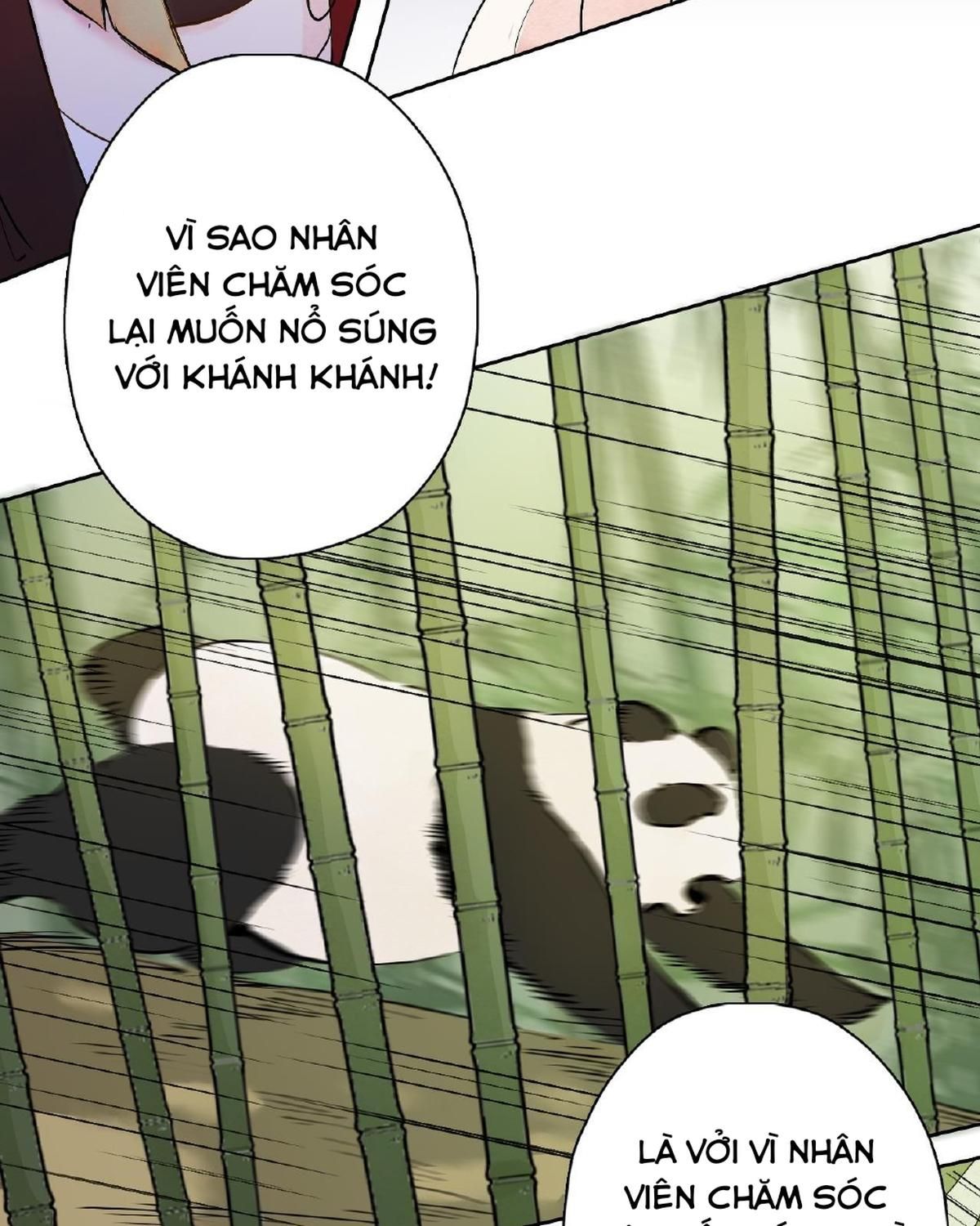 Năm Bạn Mèo Chapter 23 - Trang 2