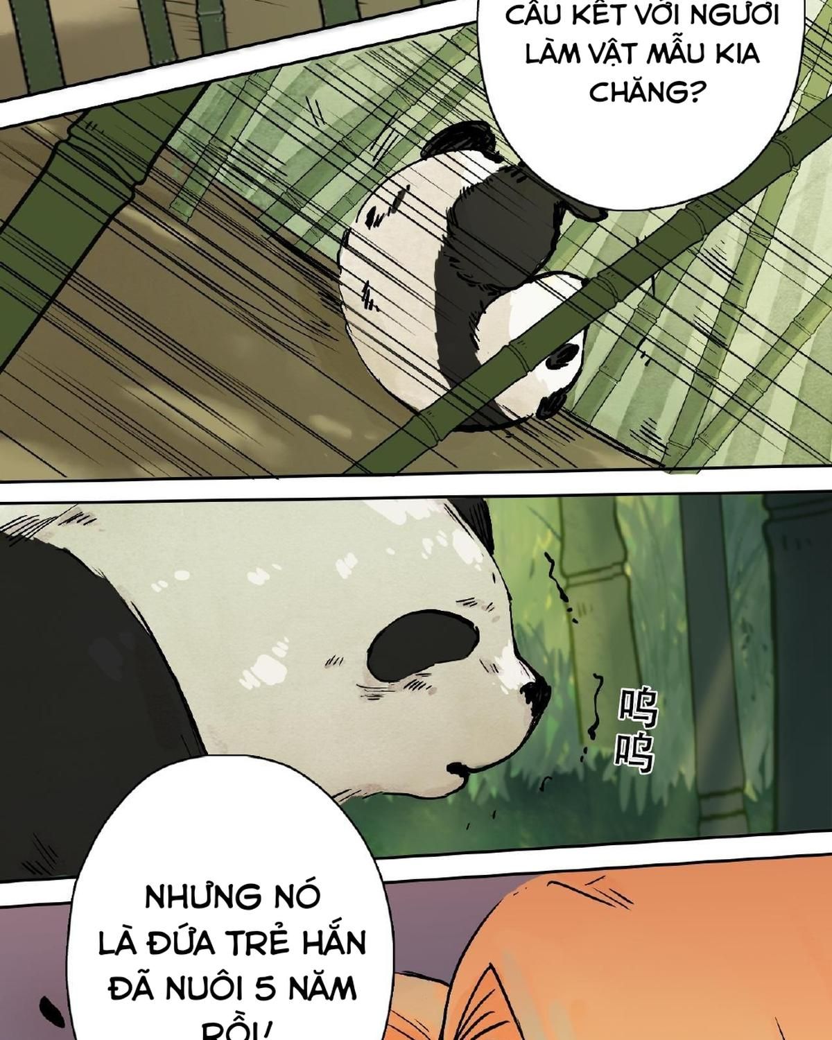 Năm Bạn Mèo Chapter 23 - Trang 2