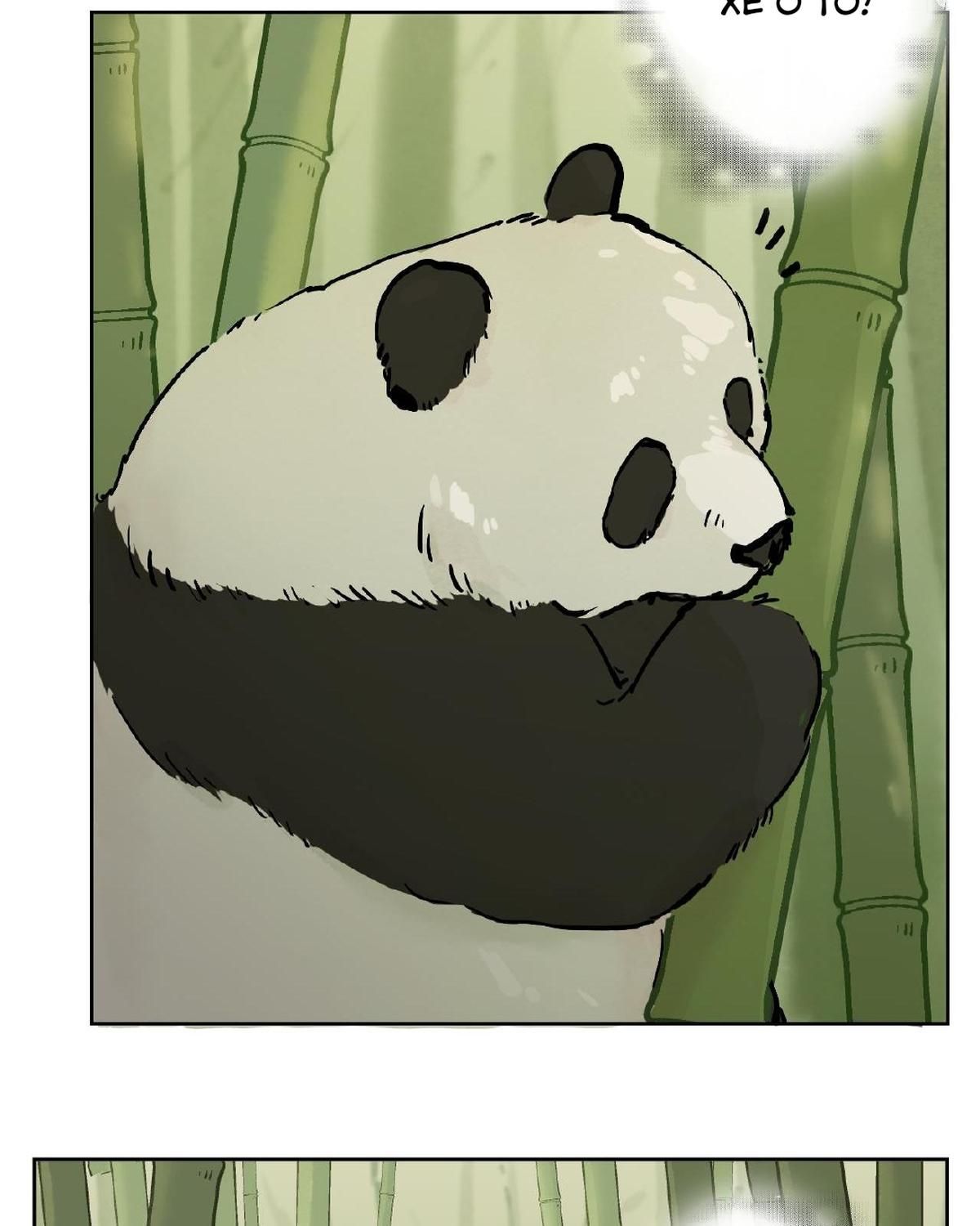 Năm Bạn Mèo Chapter 23 - Trang 2