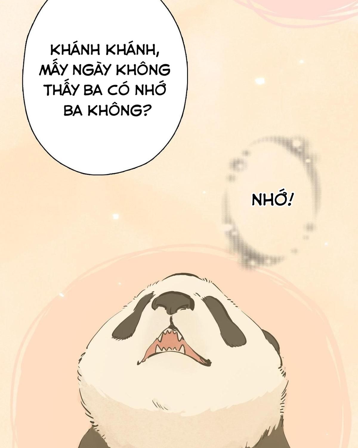 Năm Bạn Mèo Chapter 23 - Trang 2