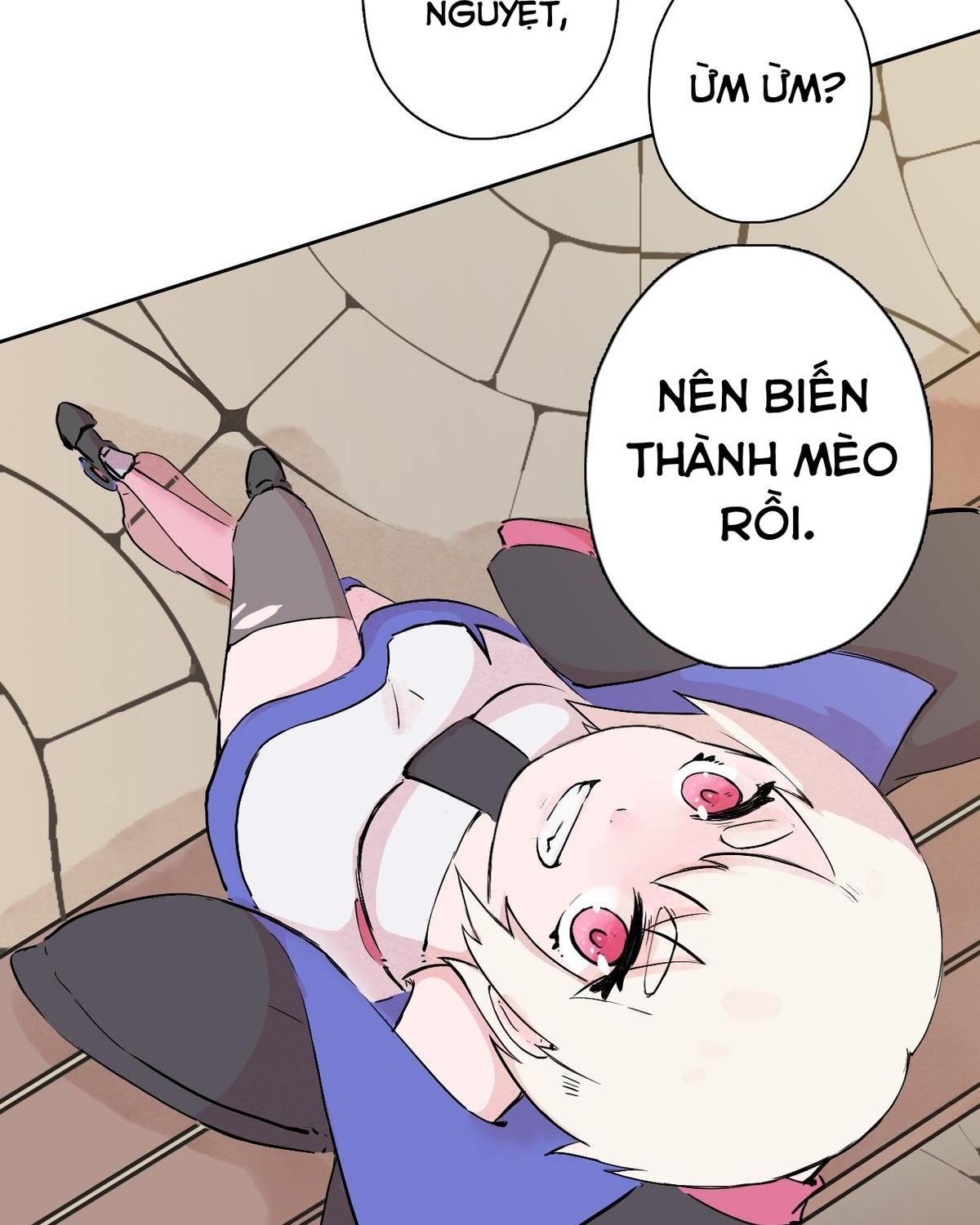 Năm Bạn Mèo Chapter 24 - Trang 2