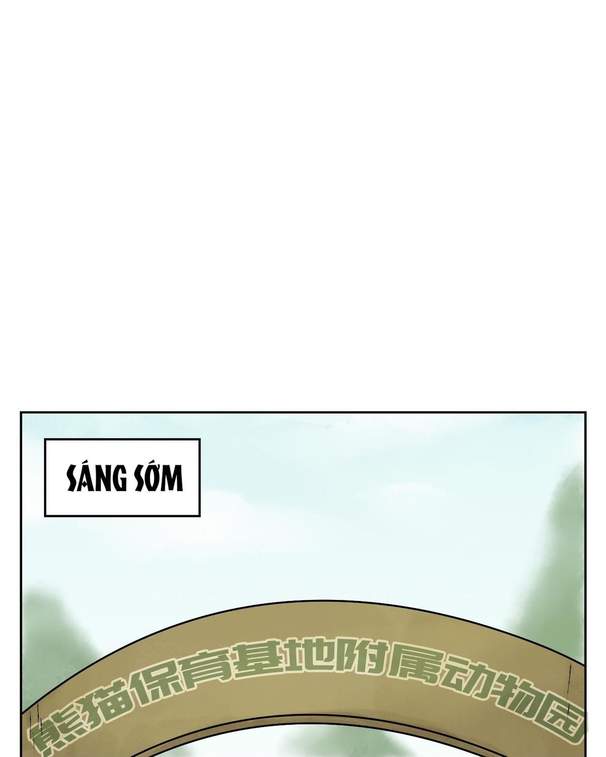 Năm Bạn Mèo Chapter 24 - Trang 2