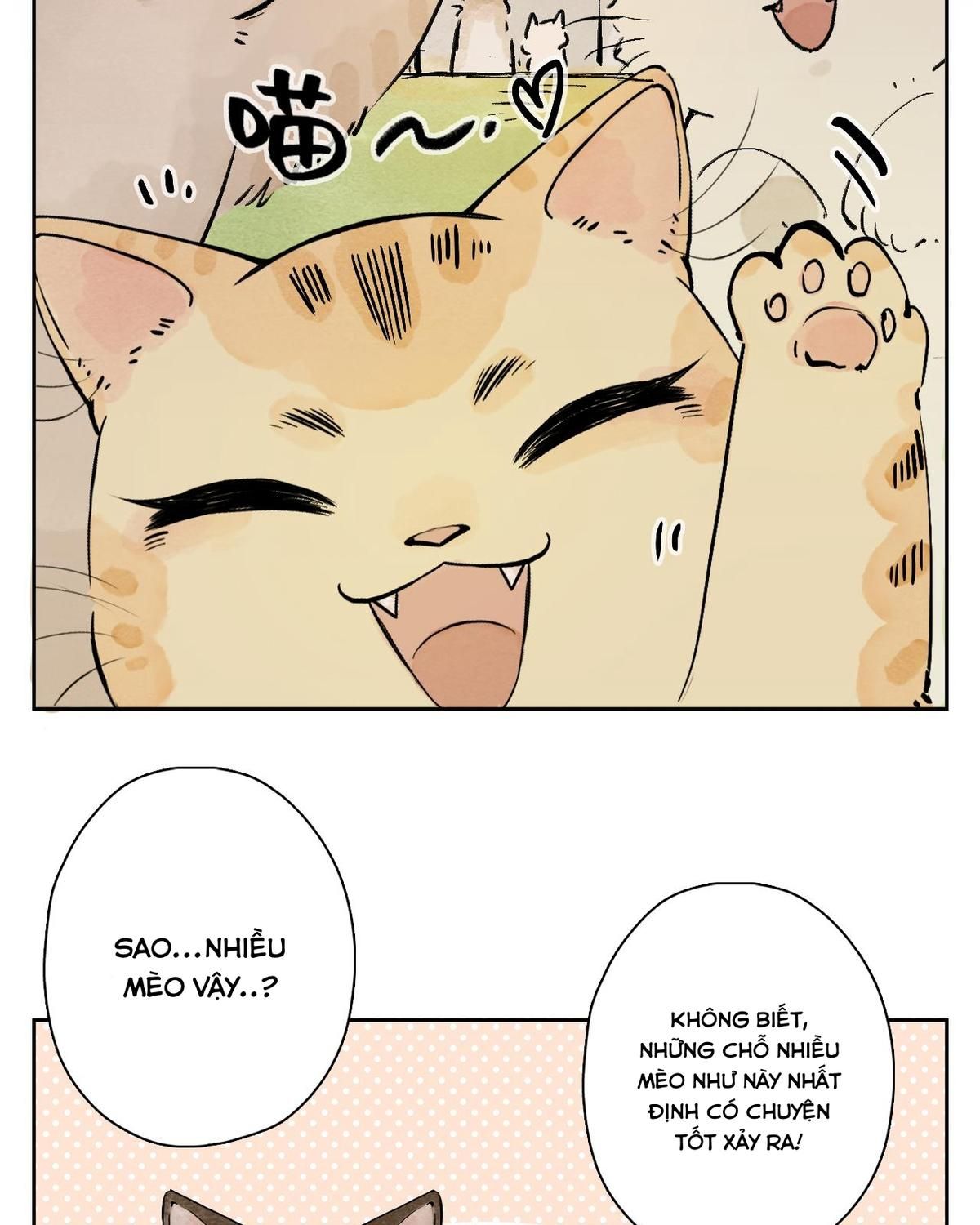Năm Bạn Mèo Chapter 25 - Trang 2