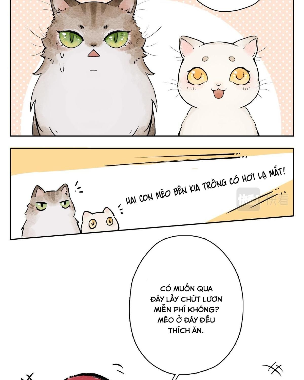 Năm Bạn Mèo Chapter 25 - Trang 2