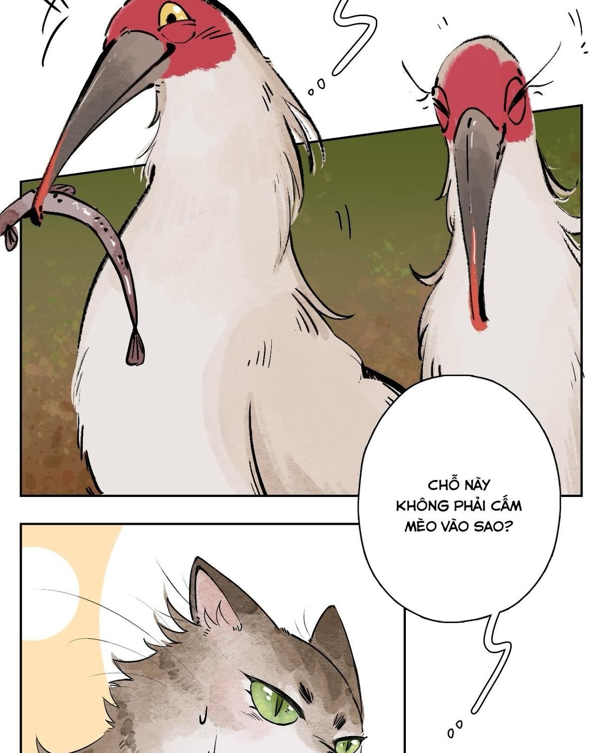 Năm Bạn Mèo Chapter 25 - Trang 2