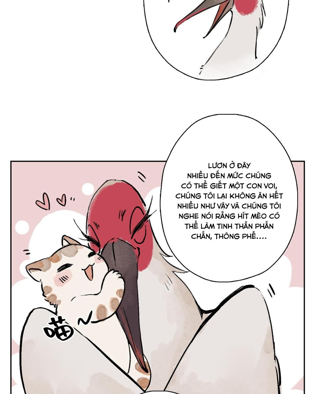 Năm Bạn Mèo Chapter 25 - Trang 2