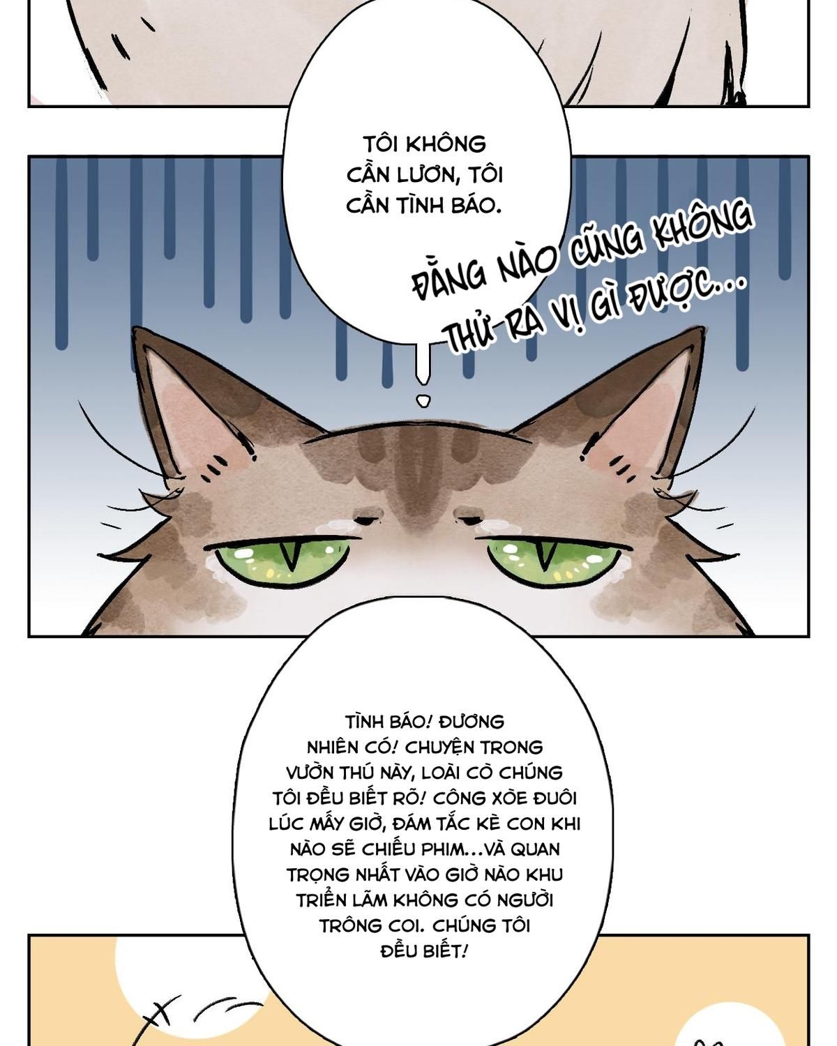 Năm Bạn Mèo Chapter 25 - Trang 2