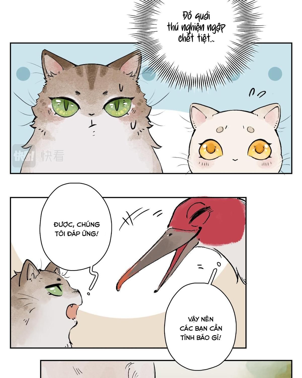 Năm Bạn Mèo Chapter 25 - Trang 2