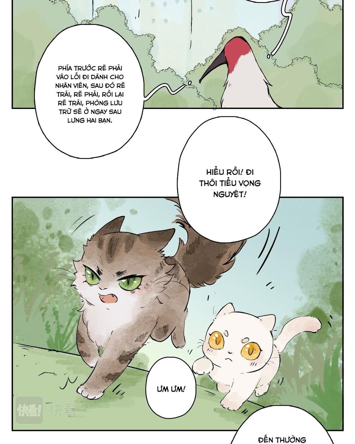 Năm Bạn Mèo Chapter 25 - Trang 2