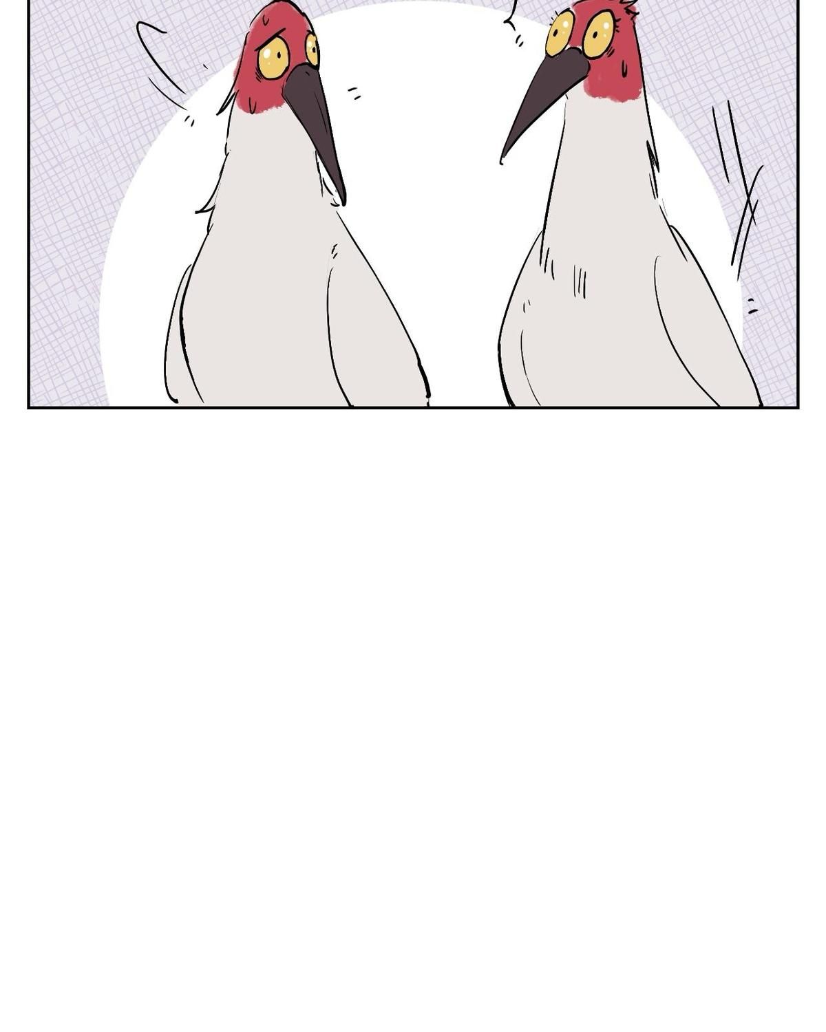 Năm Bạn Mèo Chapter 25 - Trang 2