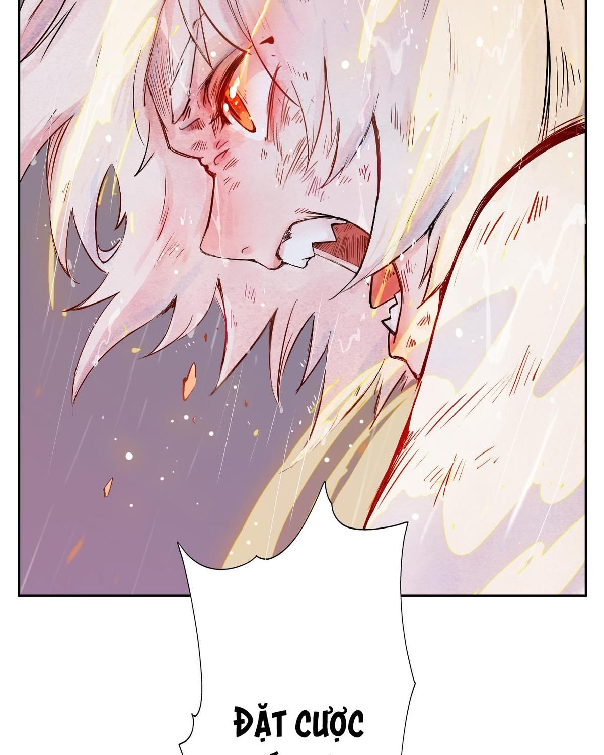 Năm Bạn Mèo Chapter 31 - Trang 2