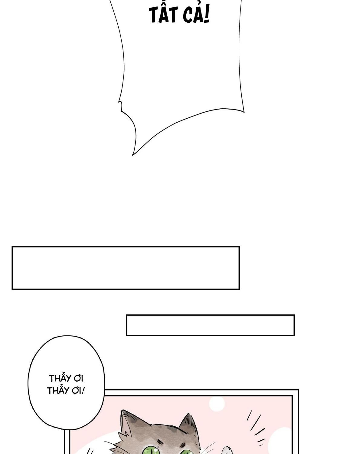 Năm Bạn Mèo Chapter 31 - Trang 2