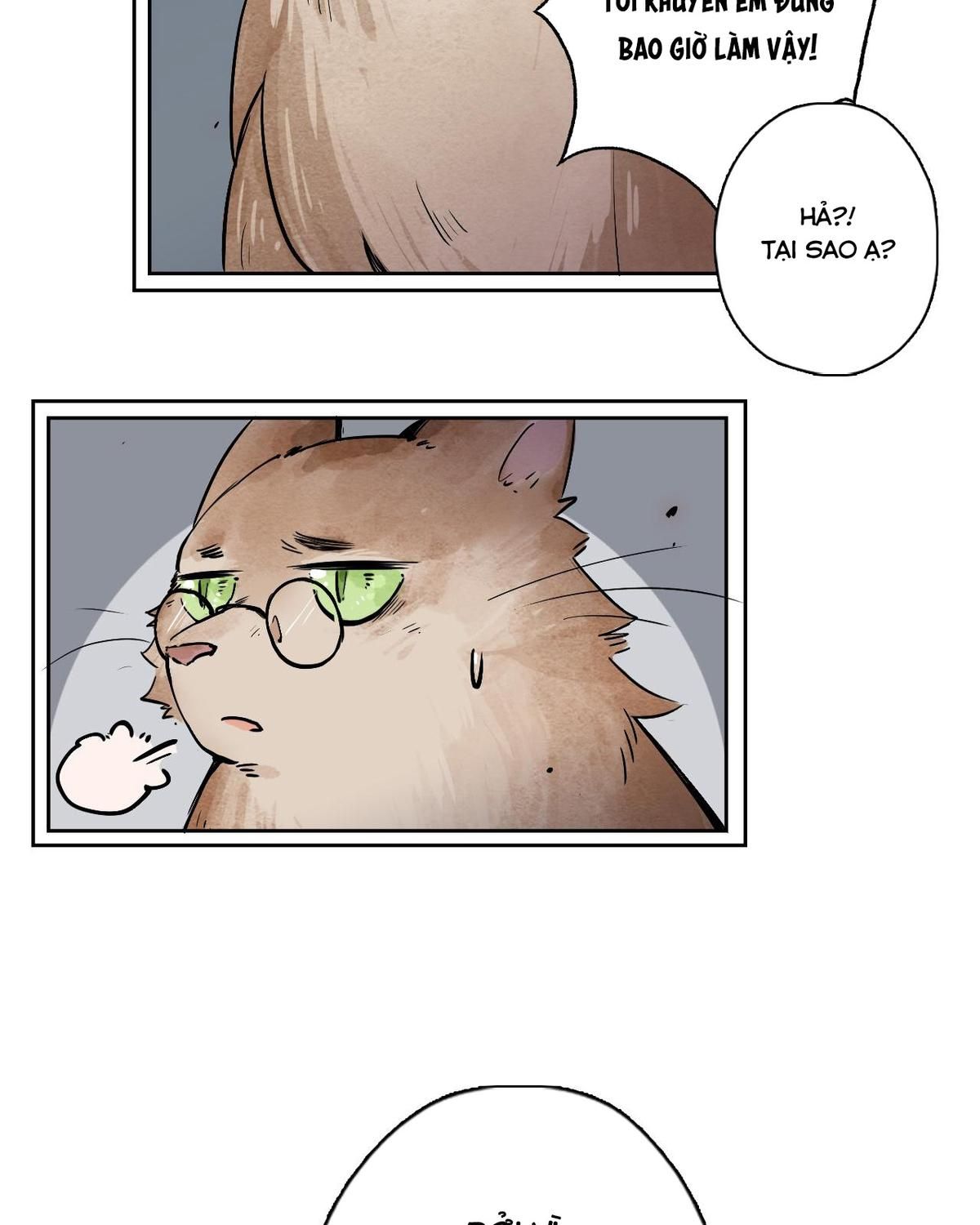 Năm Bạn Mèo Chapter 31 - Trang 2